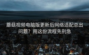 蘑菇视频电脑版更新后网络适配总出问题？用这份流程先别急