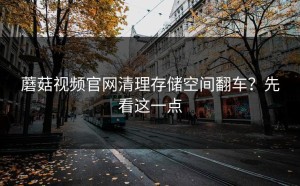 蘑菇视频官网清理存储空间翻车？先看这一点